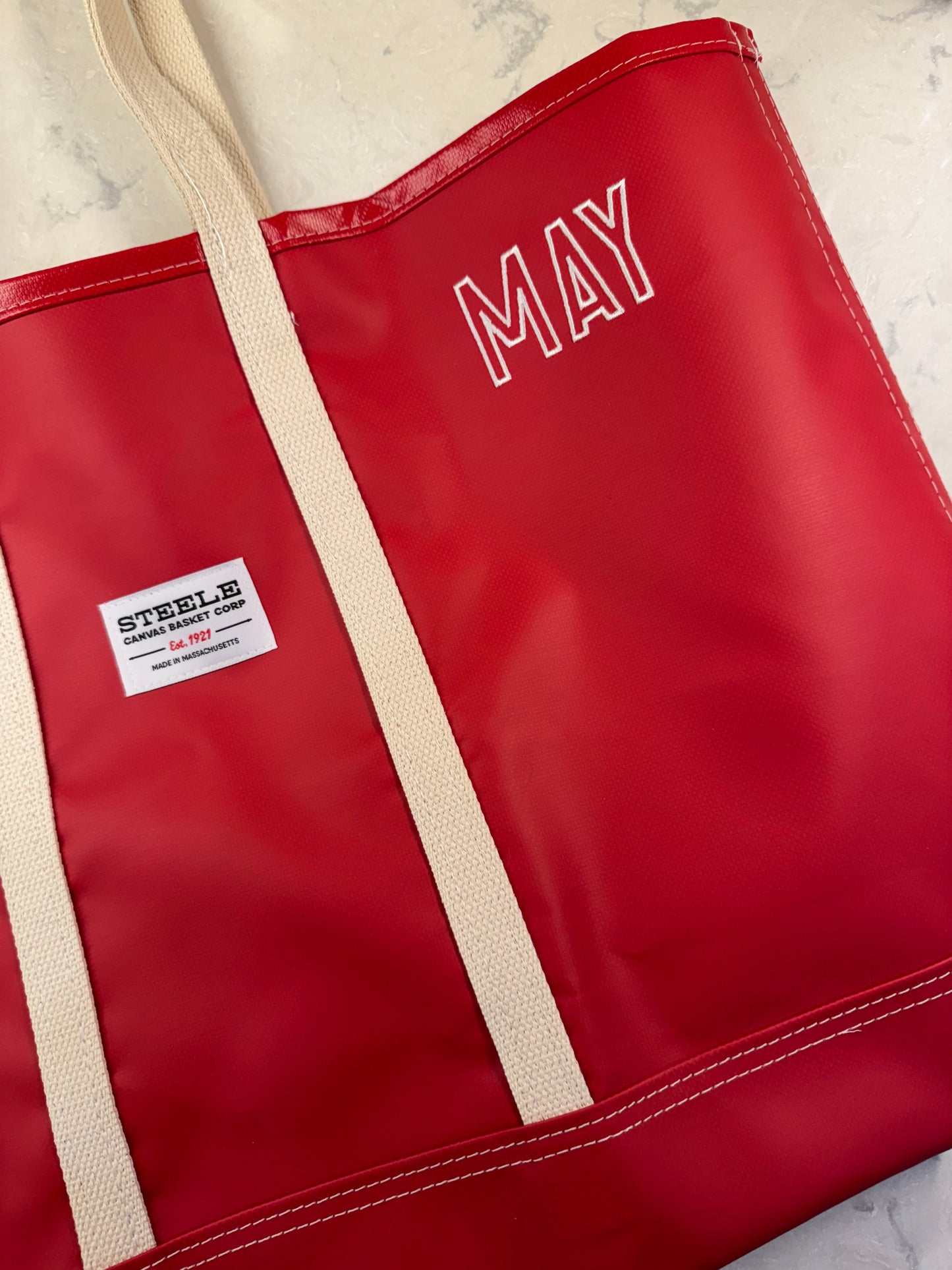 Large Steele Beach Tote